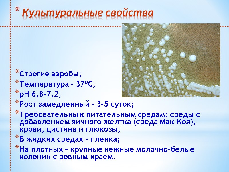 Культуральные свойства Строгие аэробы;  Температура – 370С; рН 6,8-7,2;  Рост замедленный –